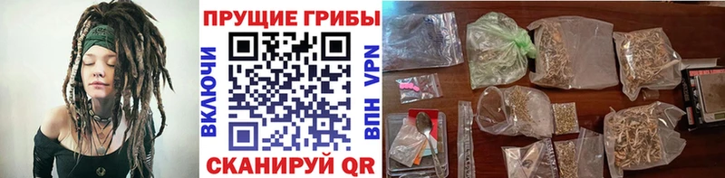 Псилоцибиновые грибы MAGIC MUSHROOMS  гидра зеркало  Питкяранта 